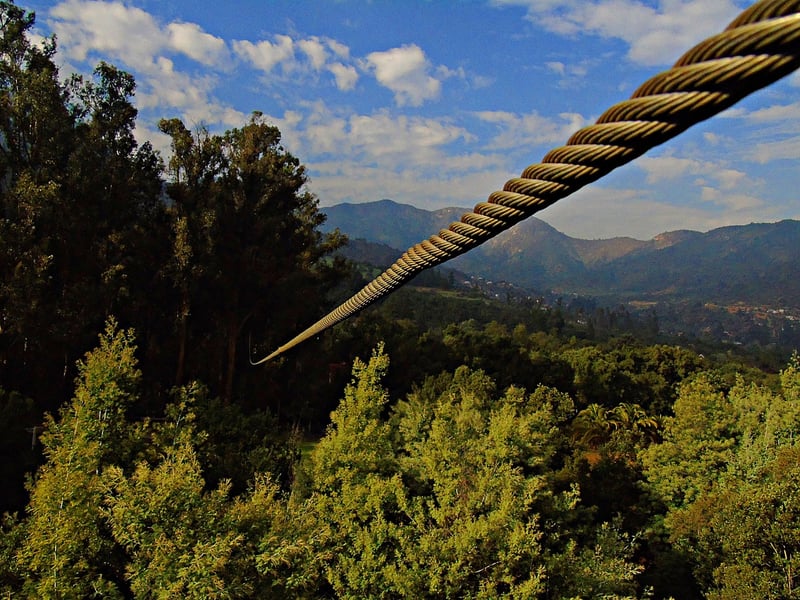 Zip Line Thrills